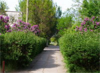 санаторий Кирилловка-курорт